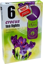 Svíčka Tea Lights 6ks Crocus